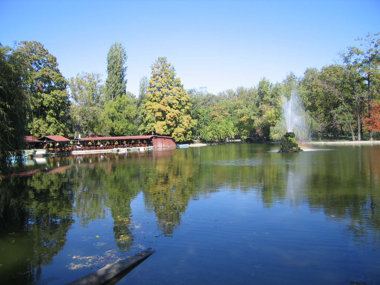 The lake in Cișmigiu Gardens, with trees and the fountain